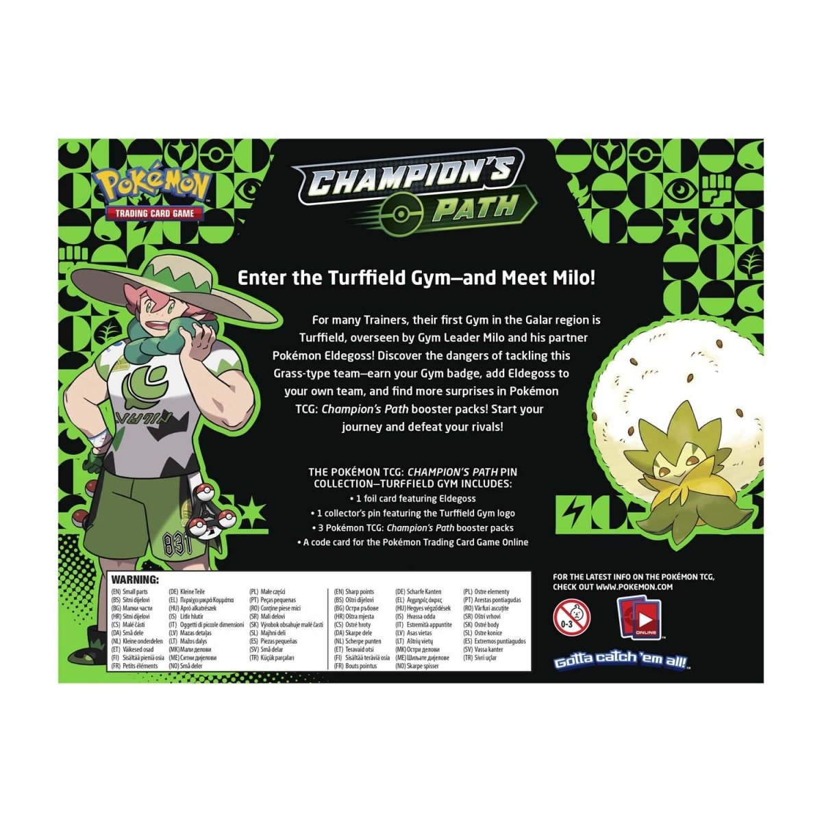Pokemon: Champion's Path Pin Collection [Turffield Gym]